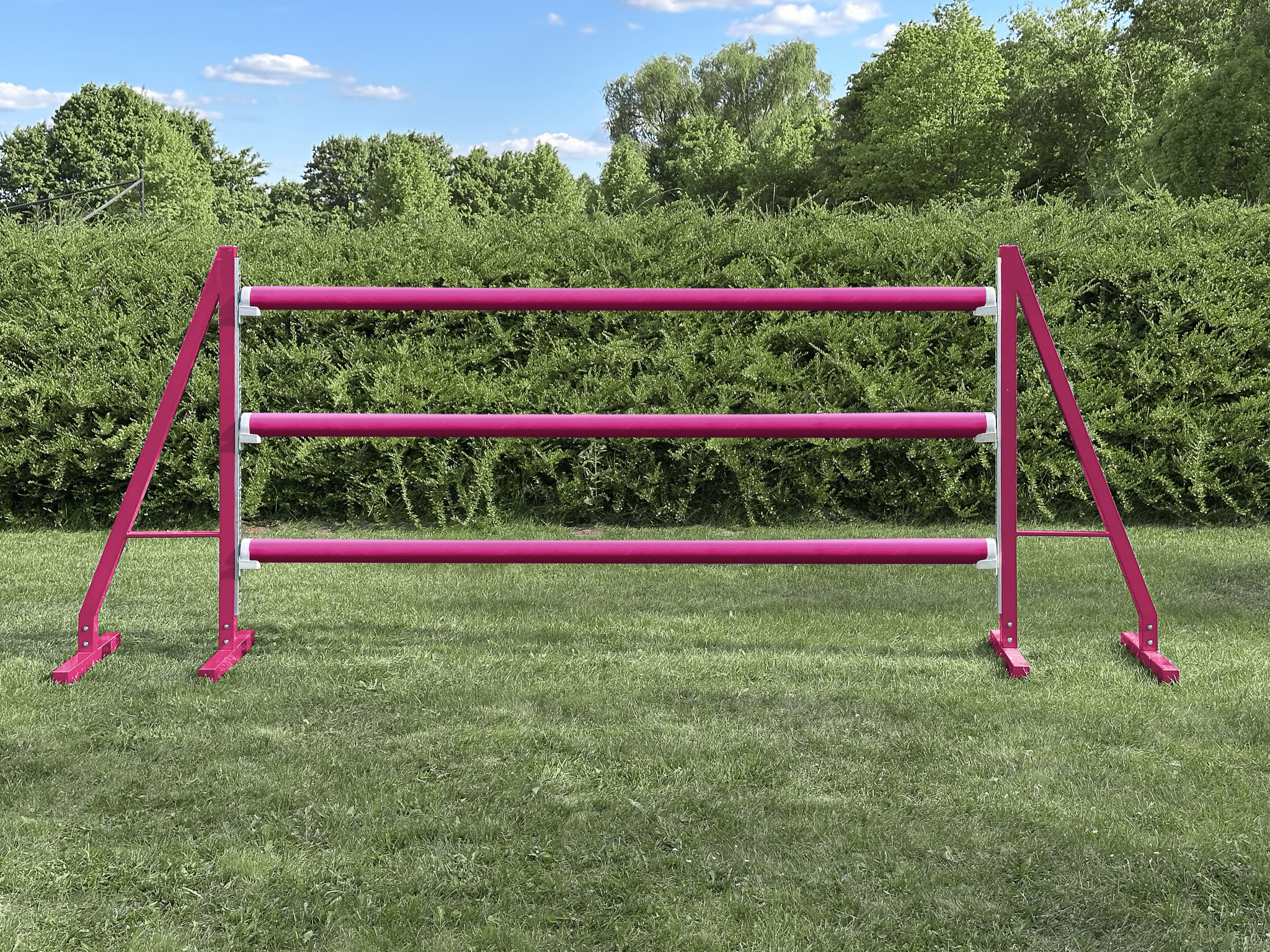 Hindernisständer Deurne • Pink • 165 cm