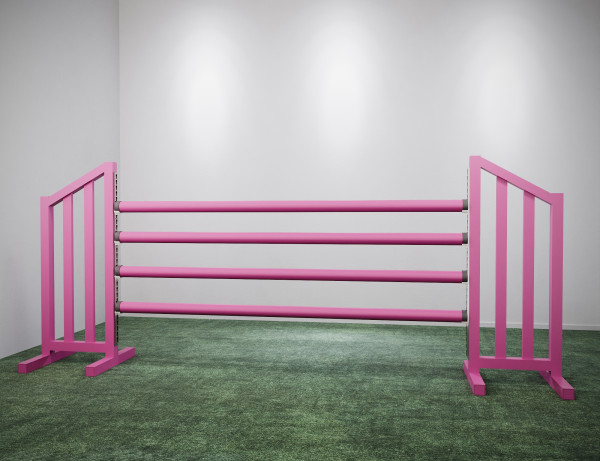 Sprünge Kronenberg • Pink • 150 cm