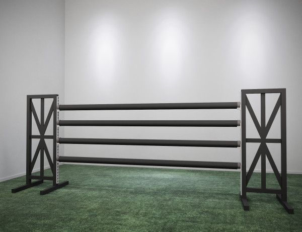 Sprünge Riesenbeck • Schwarz • 165 cm
